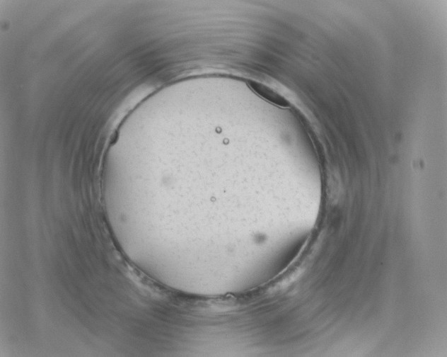 X0000078311145200611251527