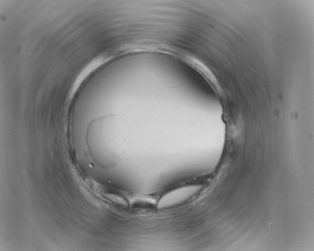 X0000078311146200611251527