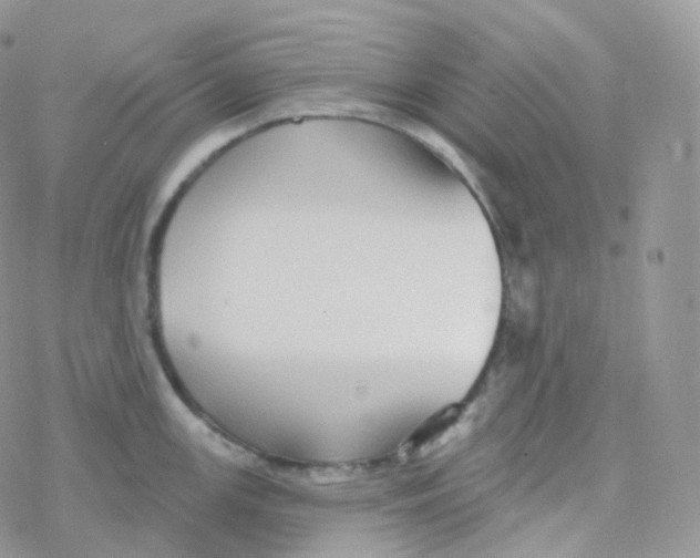 X0000078311147200611251527