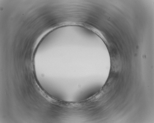 X0000078311148200611251527