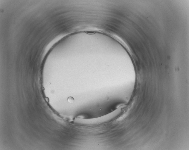 X0000078311149200611251527