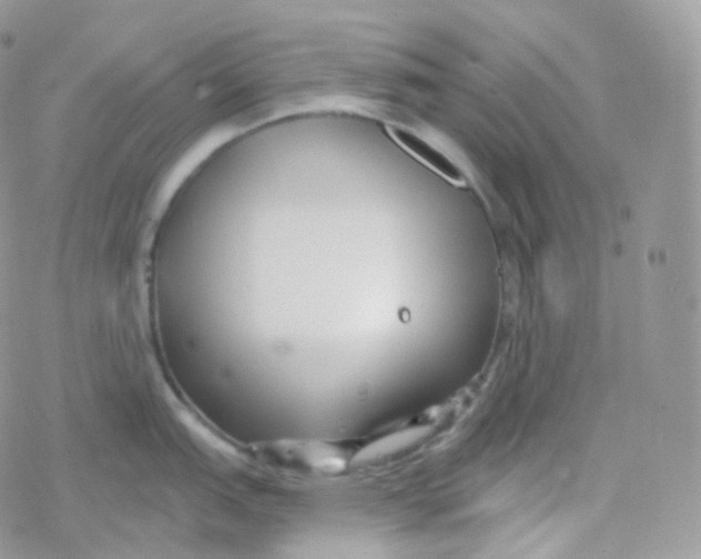 X0000078311151200611251527