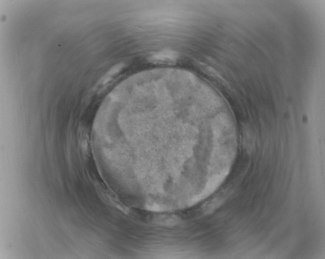 X0000078311154200611251526