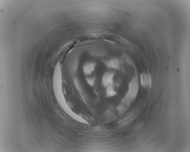 X0000078311155200611251526