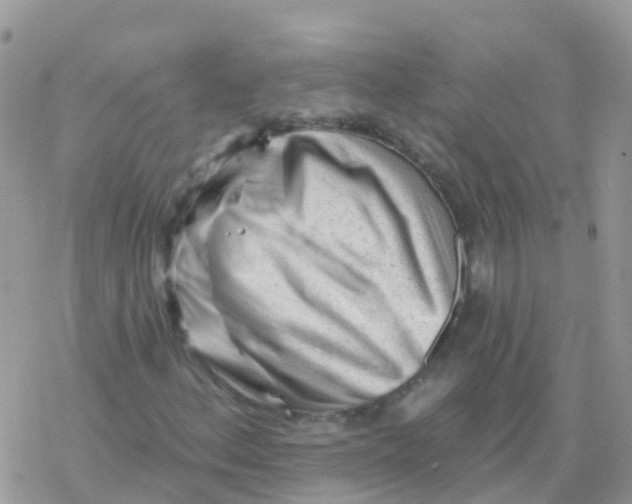 X0000078311156200611251526