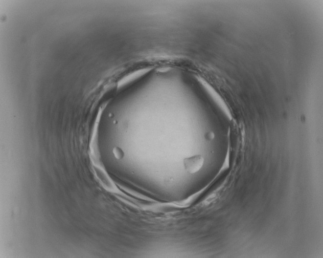 X0000078311157200611251526