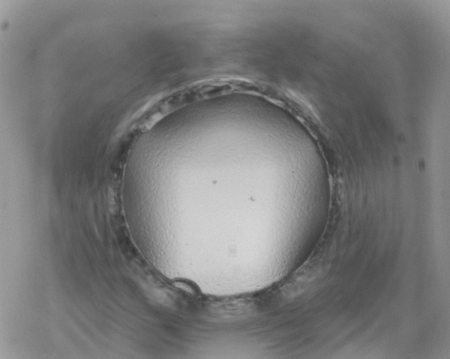 X0000078311159200611251526