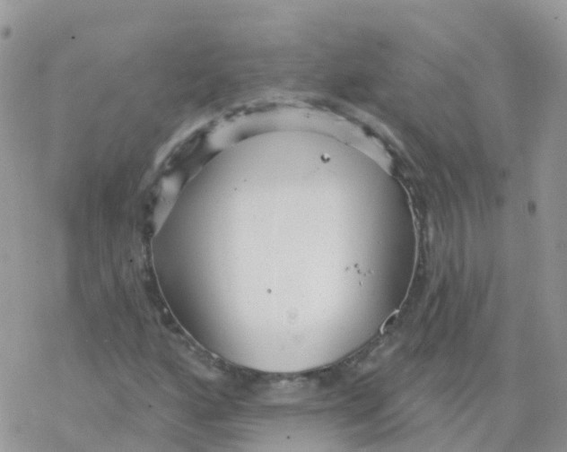 X0000078311160200611251526