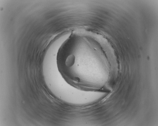 X0000078311161200611251526