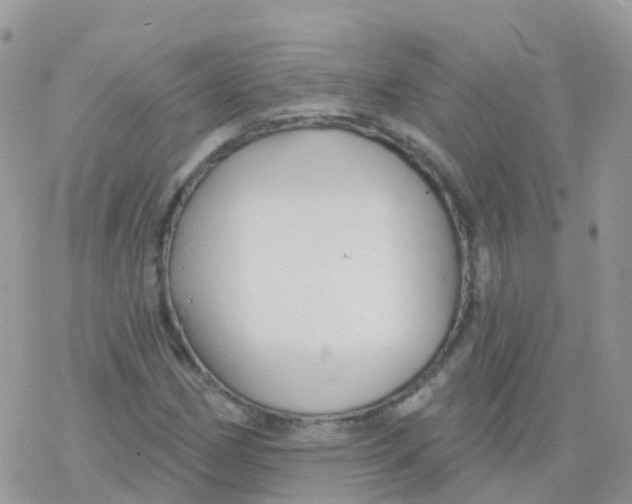 X0000078311162200611251526