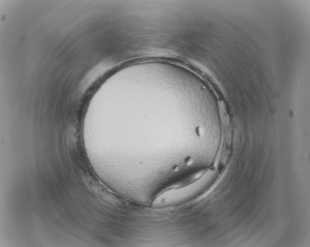 X0000078311163200611251526