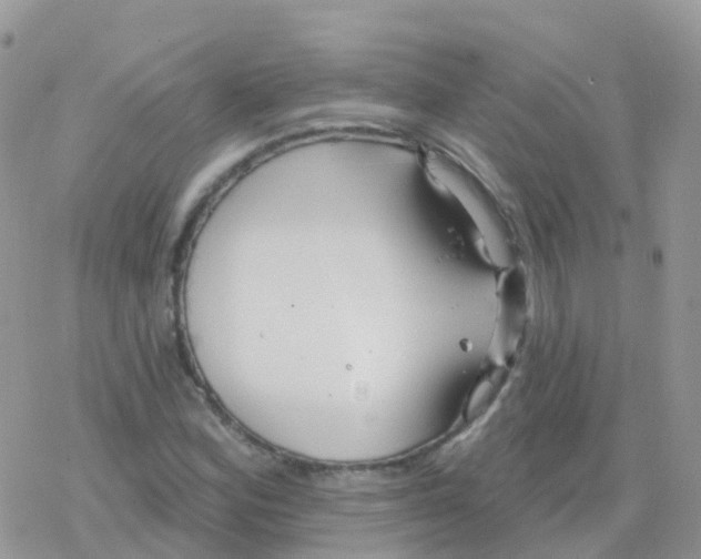 X0000078311164200611251526