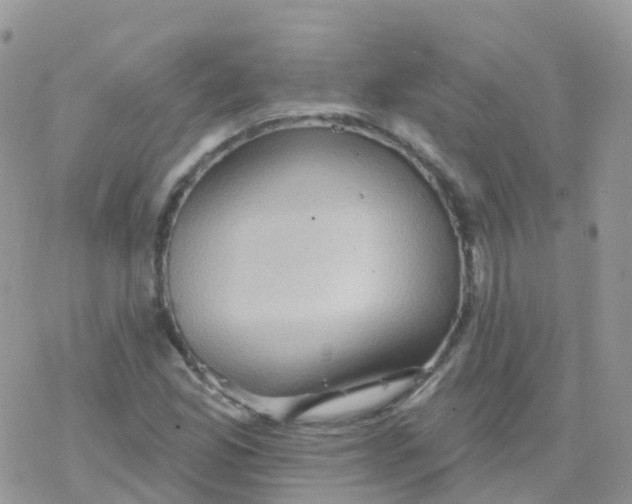 X0000078311165200611251526