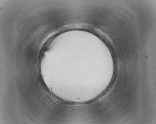 X0000078311166200611251526