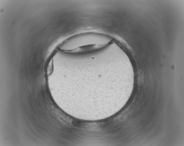 X0000078311167200611251526