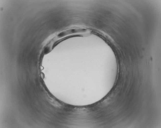 X0000078311168200611251526