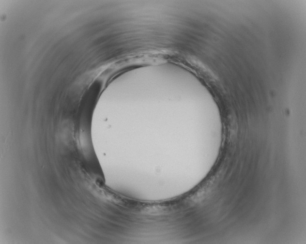 X0000078311169200611251526