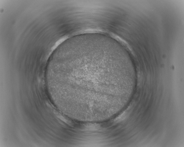 X0000078311170200611251526