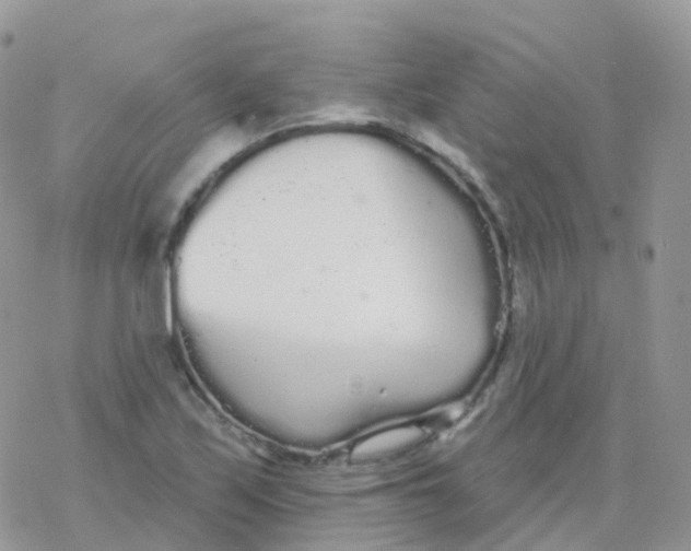 X0000078311171200611251526