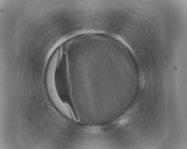 X0000078311173200611251526