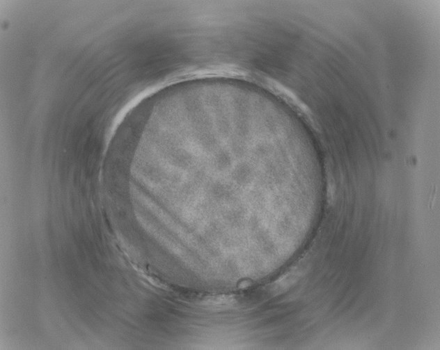 X0000078311174200611251526