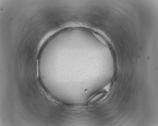 X0000078311175200611251526