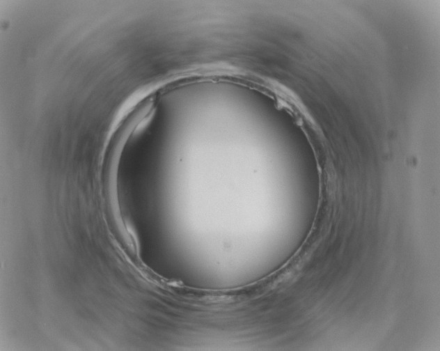 X0000078311176200611251526