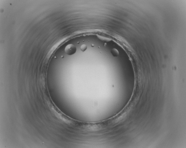 X0000078311177200611251526