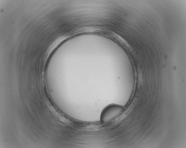 X0000078311178200611251526