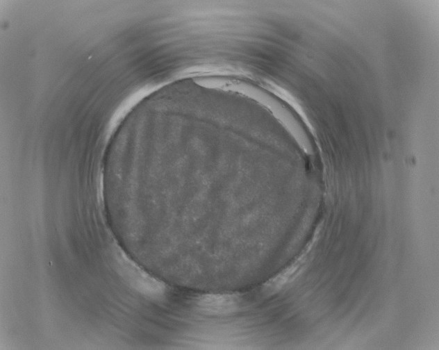 X0000078311179200611251526