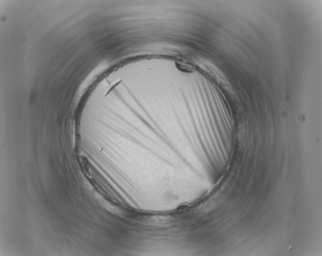 X0000078311180200611251526