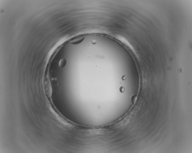 X0000078311181200611251526