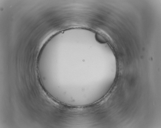 X0000078311182200611251526