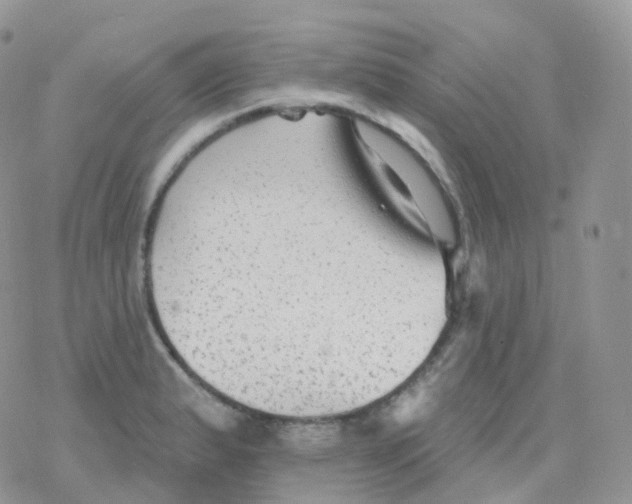 X0000078311183200611251526