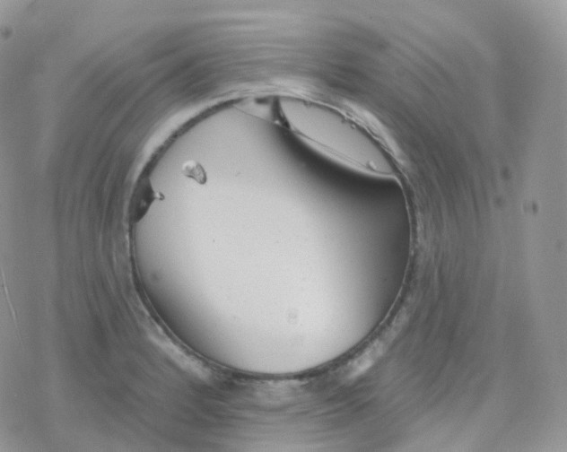 X0000078311184200611251526