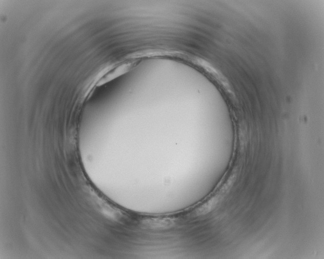 X0000078311185200611251526