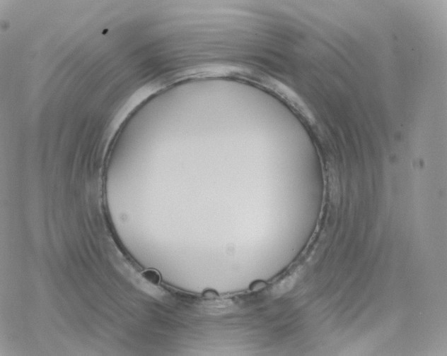 X0000078311186200611251526