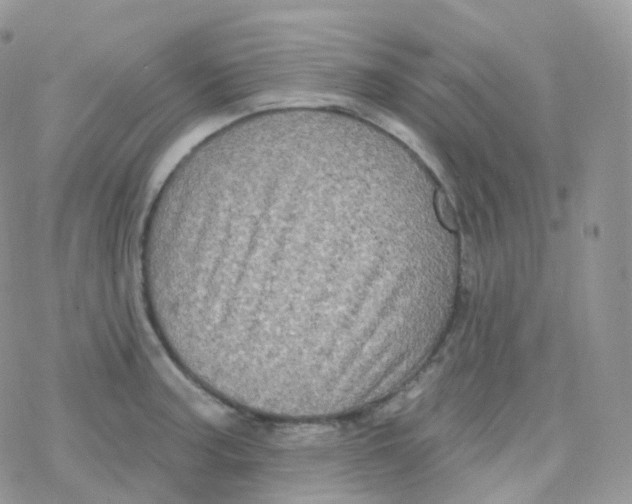 X0000078311187200611251526