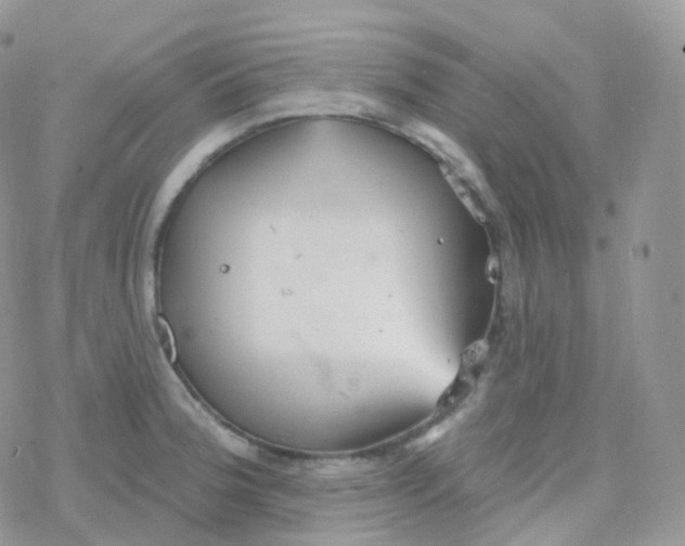 X0000078311188200611251526