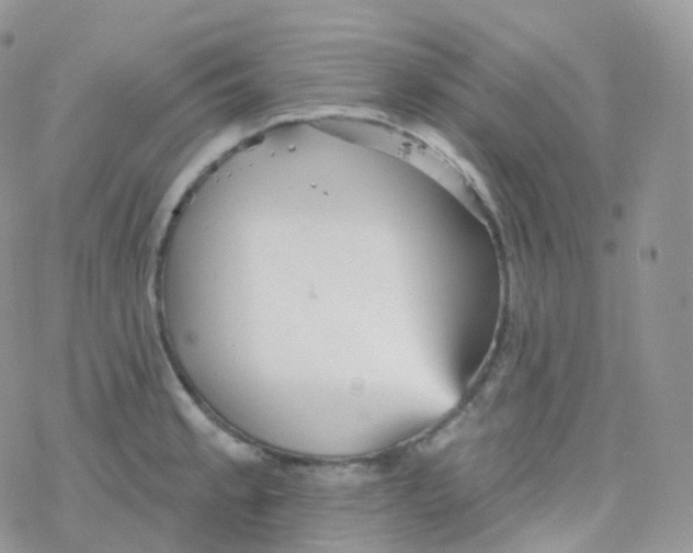 X0000078311189200611251526