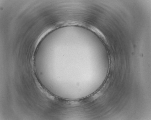 X0000078311190200611251526