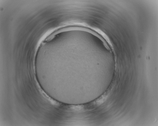 X0000078311191200611251526