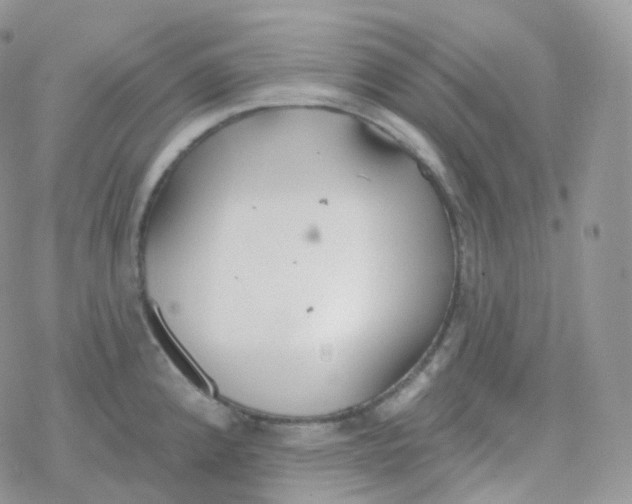 X0000078311192200611251526