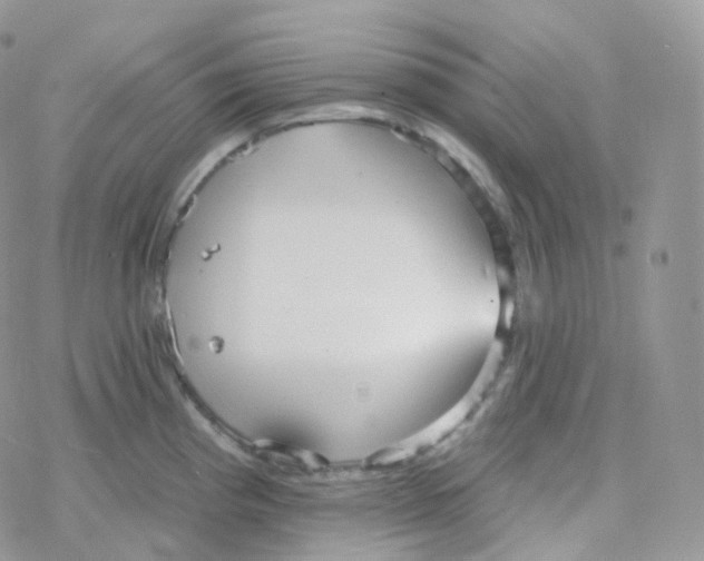 X0000078311193200611251526