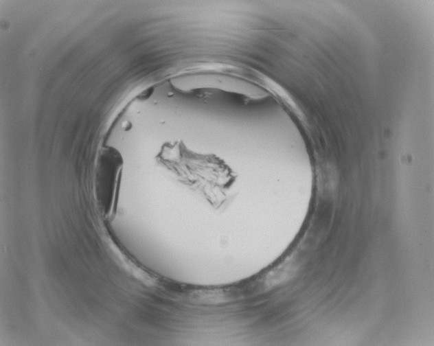 X0000078311194200611251526