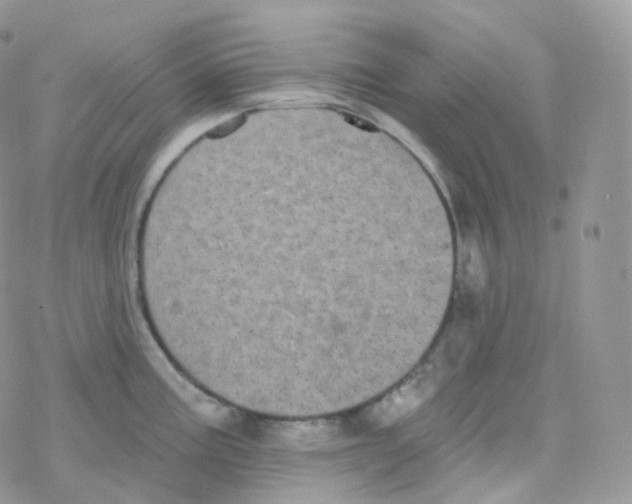 X0000078311195200611251526