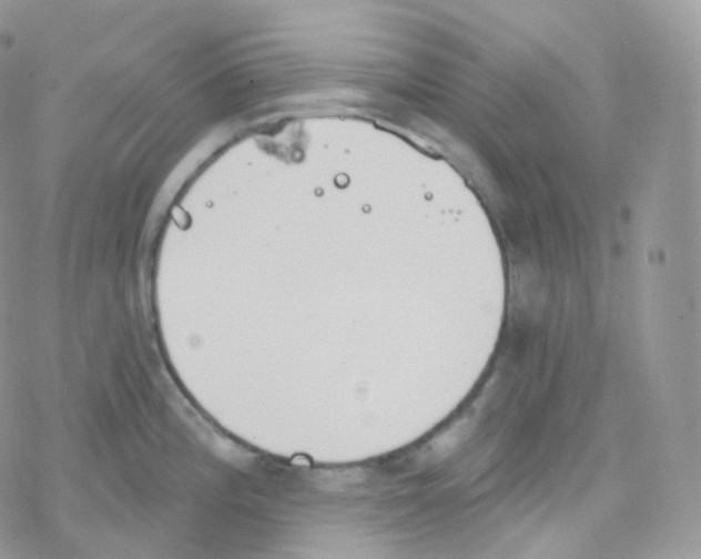 X0000078311196200611251526