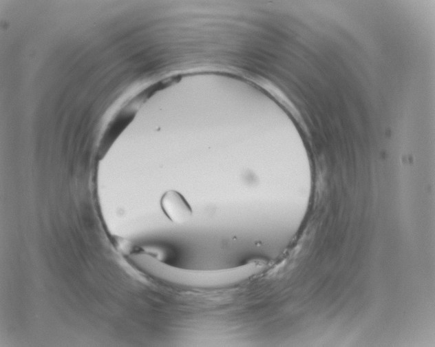 X0000078311197200611251525