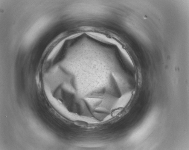 X0000078311198200611251525