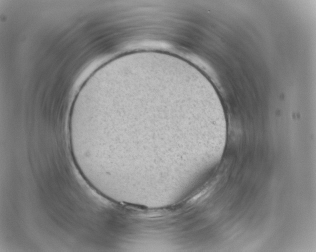 X0000078311199200611251525